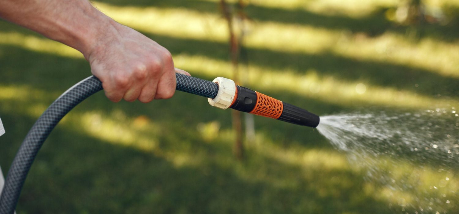 Man watering his plants in his garden. Man in a blue shirt.