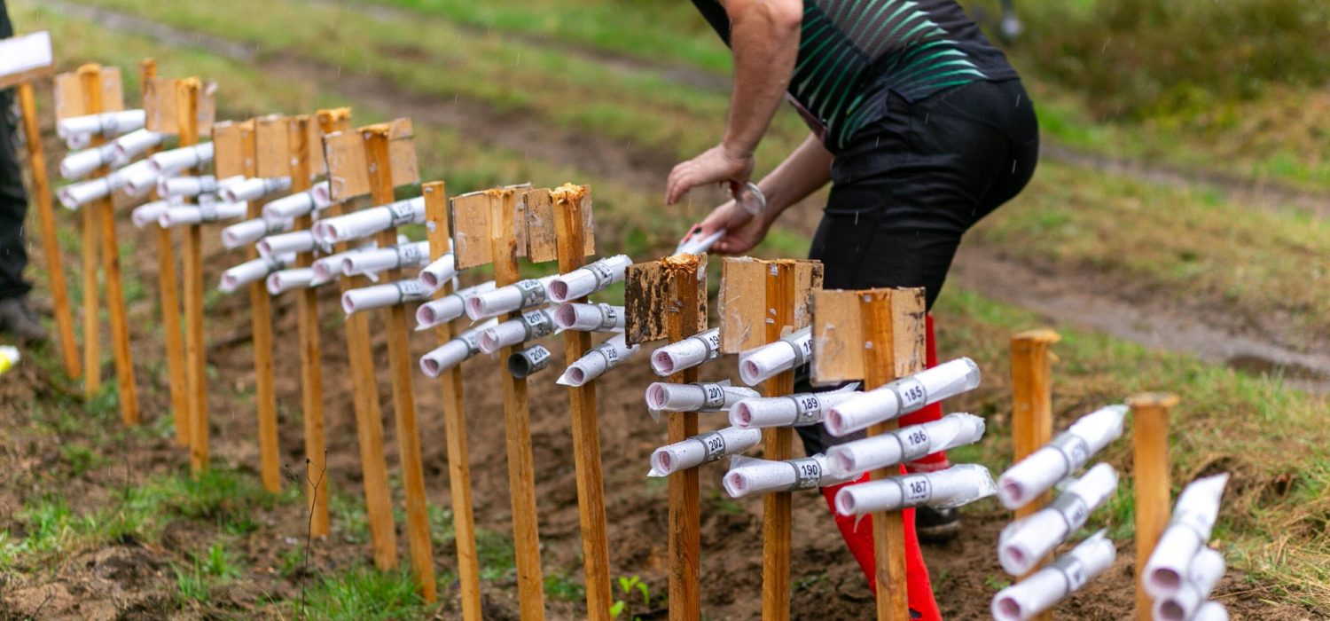 The start of the participant of the orienteering competition in the relay race during the rain. Man taking a map. The starting area with distance maps for the orienteering relay.